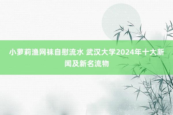 小萝莉渔网袜自慰流水 武汉大学2024年十大新闻及新名流物