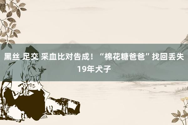黑丝 足交 采血比对告成！“棉花糖爸爸”找回丢失19年犬子