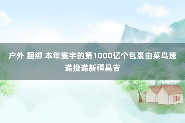 户外 捆绑 本年寰宇的第1000亿个包裹由菜鸟速递投递新疆昌吉