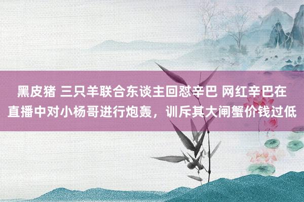 黑皮猪 三只羊联合东谈主回怼辛巴 网红辛巴在直播中对小杨哥进行炮轰，训斥其大闸蟹价钱过低