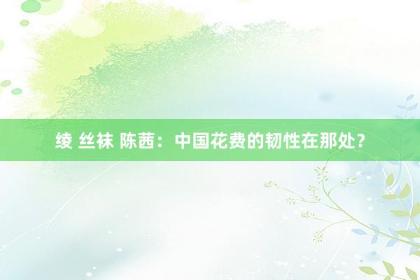 绫 丝袜 陈茜：中国花费的韧性在那处？