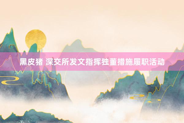 黑皮猪 深交所发文指挥独董措施履职活动