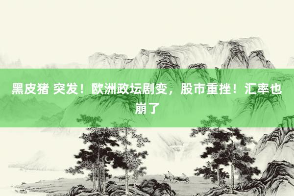 黑皮猪 突发！欧洲政坛剧变，股市重挫！汇率也崩了