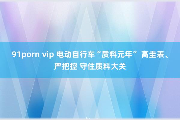 91porn vip 电动自行车“质料元年” 高圭表、严把控 守住质料大关