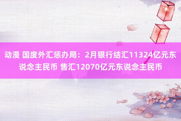 动漫 国度外汇惩办局：2月银行结汇11324亿元东说念主民币 售汇12070亿元东说念主民币