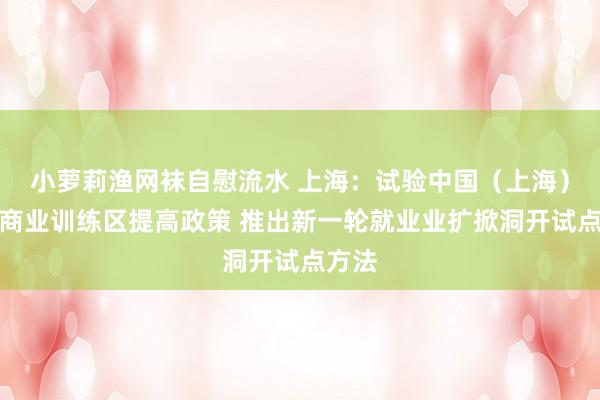 小萝莉渔网袜自慰流水 上海：试验中国（上海）目田商业训练区提高政策 推出新一轮就业业扩掀洞开试点方法